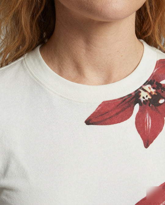 Product 15587048063306 - close_up_detail