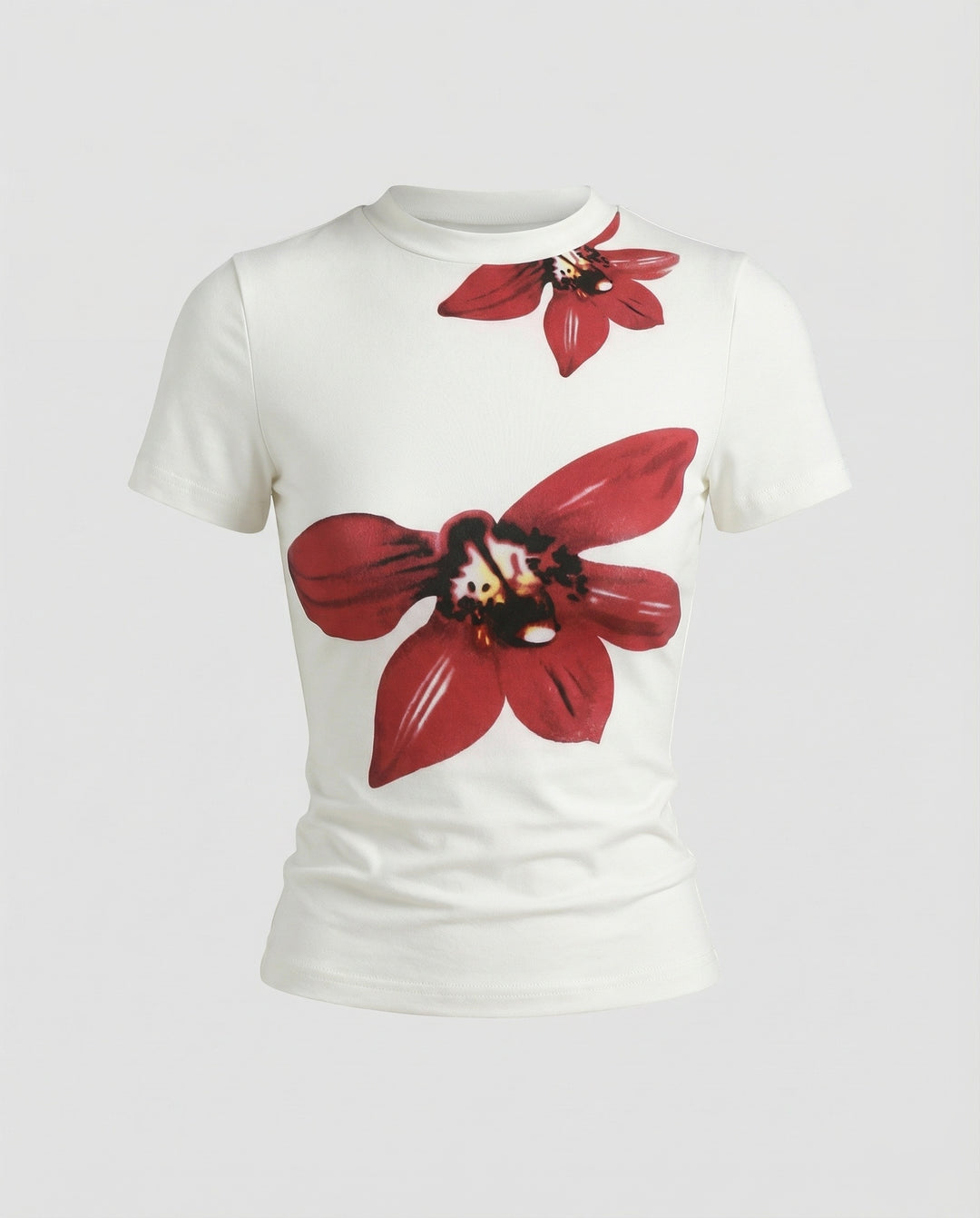 Product 15587048063306 - product_only