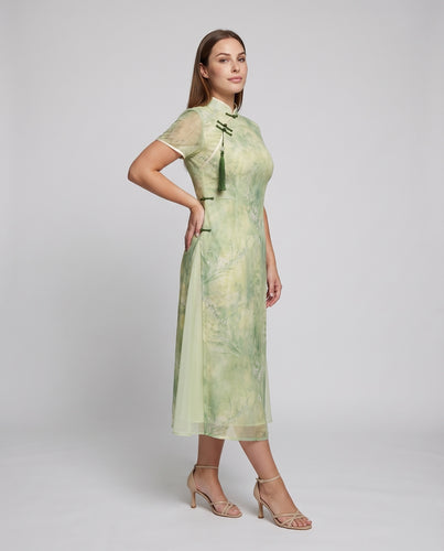 Damen Chiffon-Cheongsam Stehkragen Stickerei Elegant