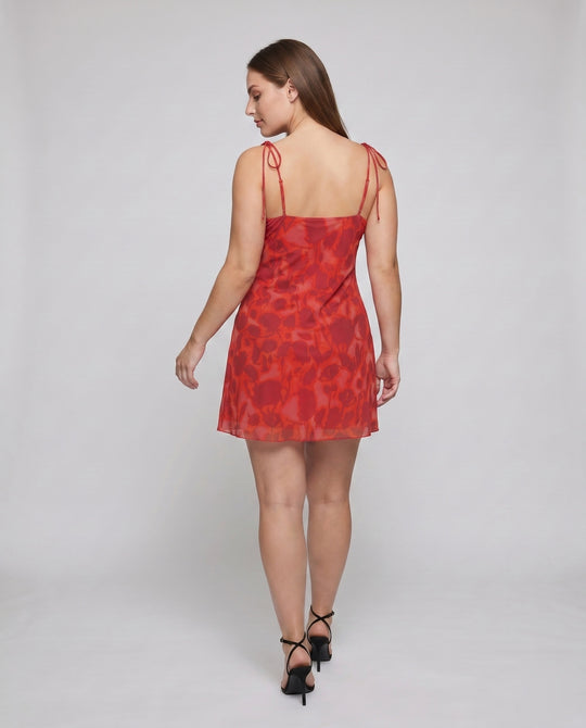 Product 15613818503498 - back_view