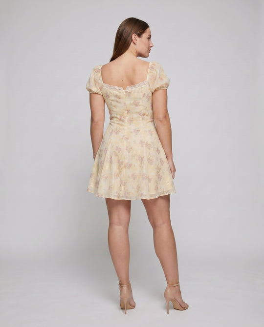 Product 15620254826826 - back_view