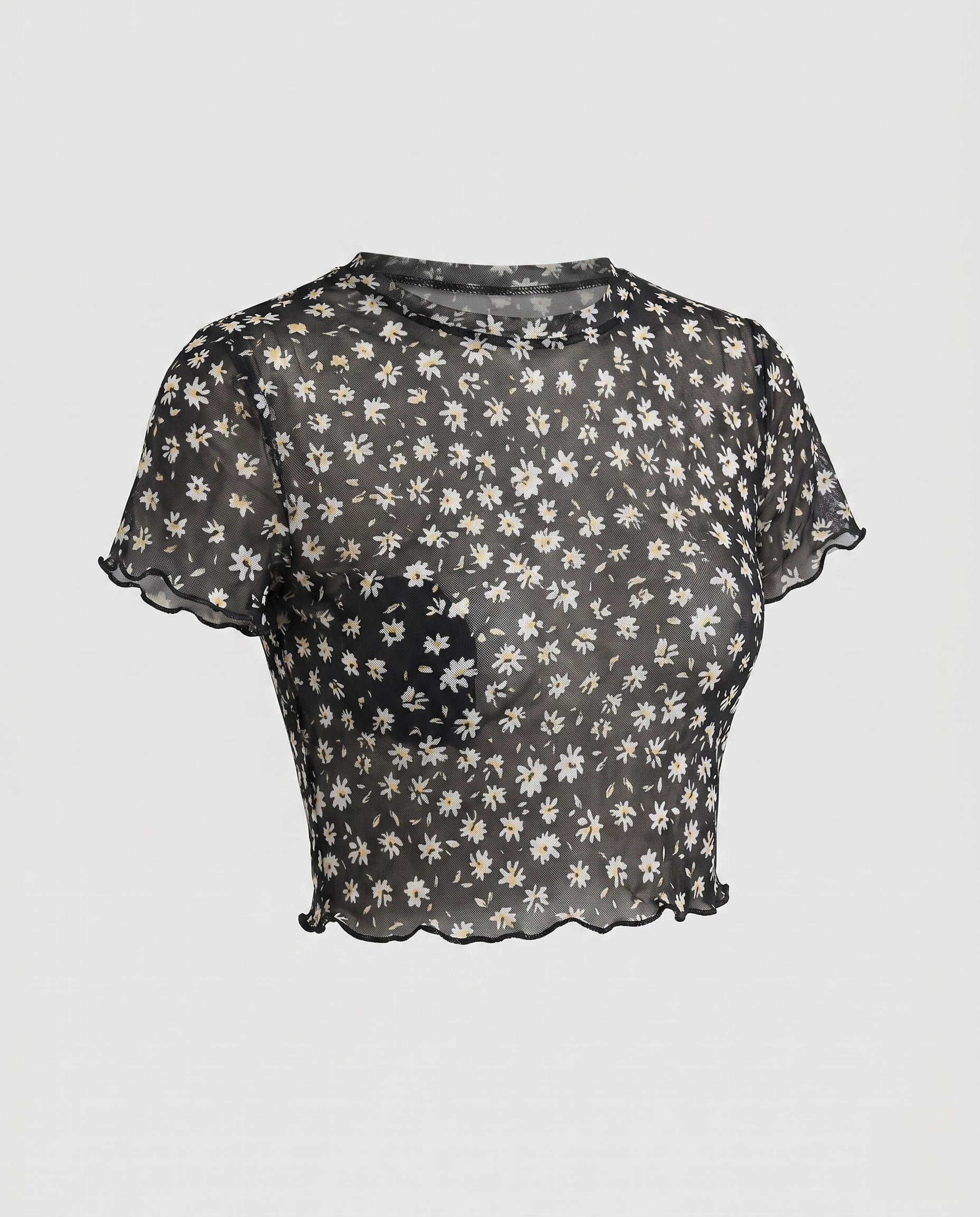 Product 15641161400650 - product_only