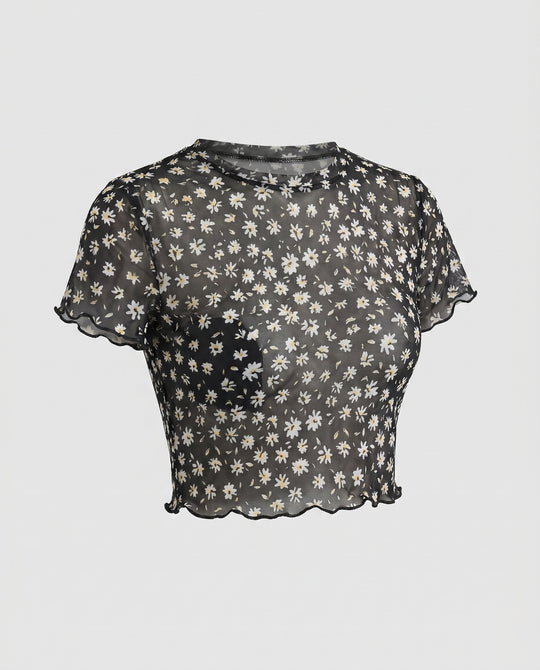 Product 15641161400650 - product_only