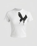 Product 15659662442826 - product_only