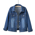 R&B | Klassische Damen-Denimjacke Viele Farben