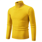 R&B | Stilvoller Rollkragen Einfarbiger Herbstpullover für Männer
