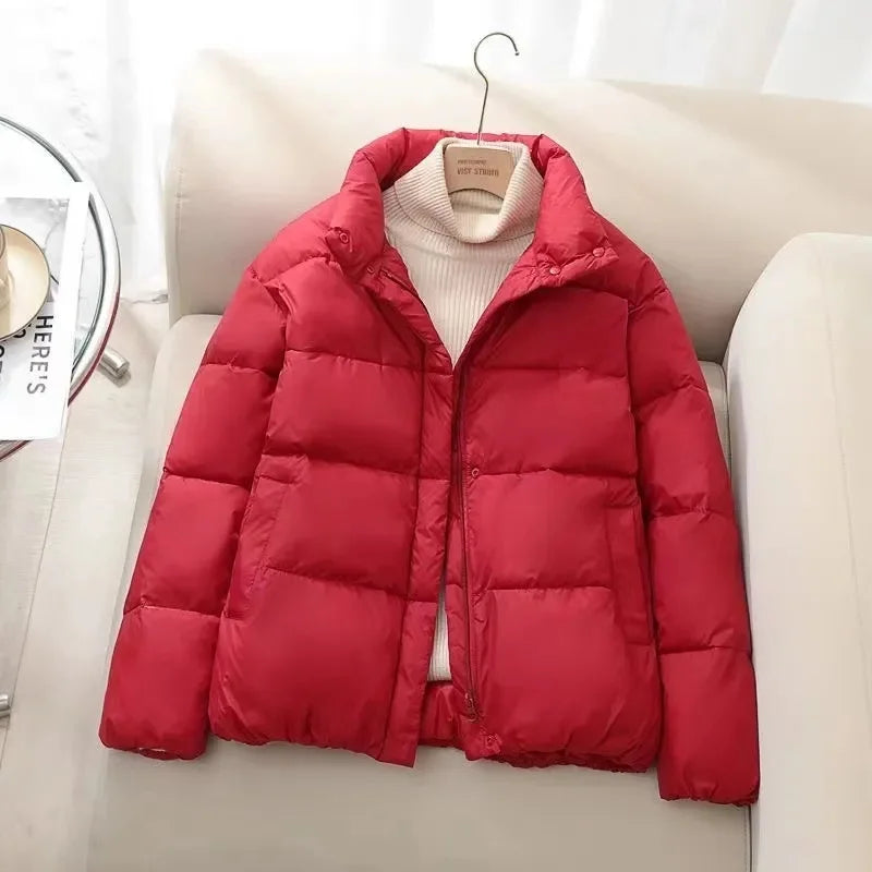 R&B | Pufferjacke – Gequiltet Isoliert – Hoher Kragen – Reißverschluss – Warm Dick