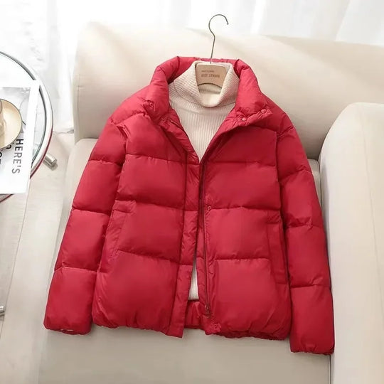 R&B | Pufferjacke – Gequiltet Isoliert – Hoher Kragen – Reißverschluss – Warm Dick