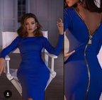 R&B | Reißverschluss Rücken Enganliegend Langarm Kleid