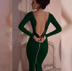 R&B | Reißverschluss Rücken Enganliegend Langarm Kleid