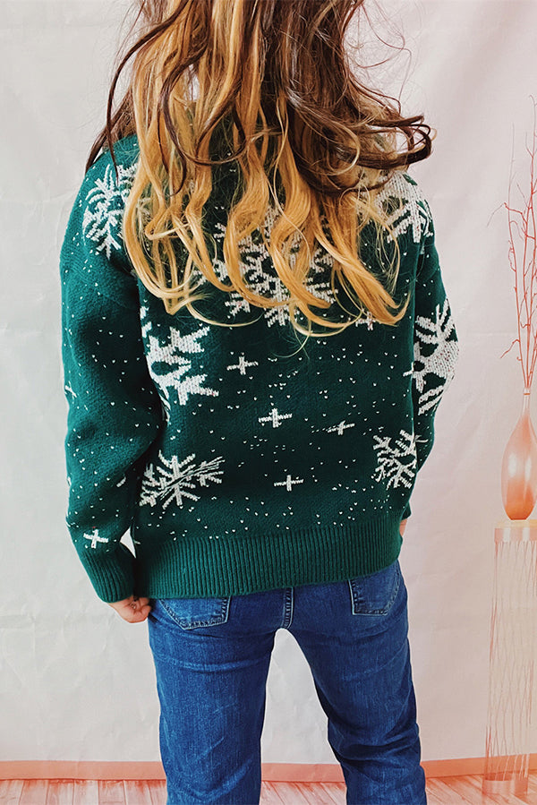 R&B | Weihnachtsmuster Gestrickter Rundhalsausschnitt Langarmpullover