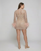 Federverziertes durchsichtiges Partykleid