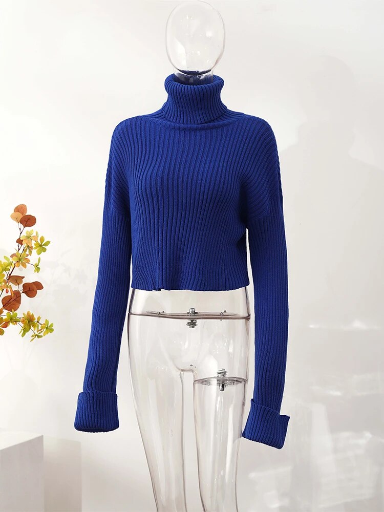 R&B | Damen Klassischer Rollkragenpullover