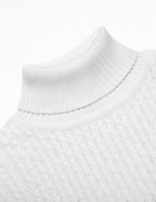 R&B | Freizeit Strick Herren Rollkragenpullover