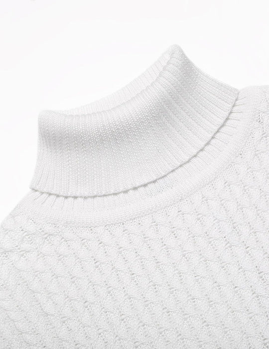 R&B | Freizeit Strick Herren Rollkragenpullover