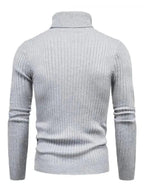 R&B | Border Slim Fit Rollkragenpullover Herren