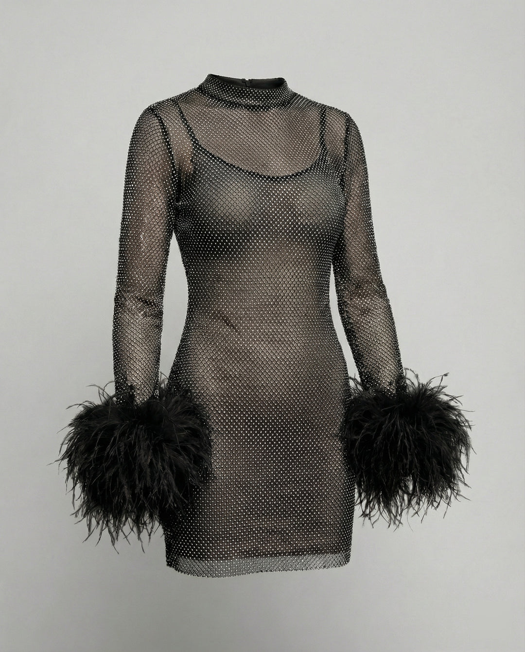 Federverziertes durchsichtiges Partykleid