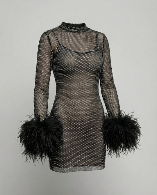 Federverziertes durchsichtiges Partykleid