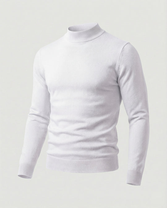 Herren eleganter Pullover mit Stehkragen R&B