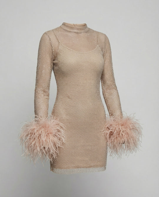 Federverziertes durchsichtiges Partykleid