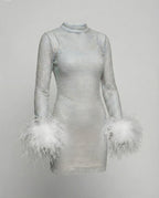 Federverziertes durchsichtiges Partykleid