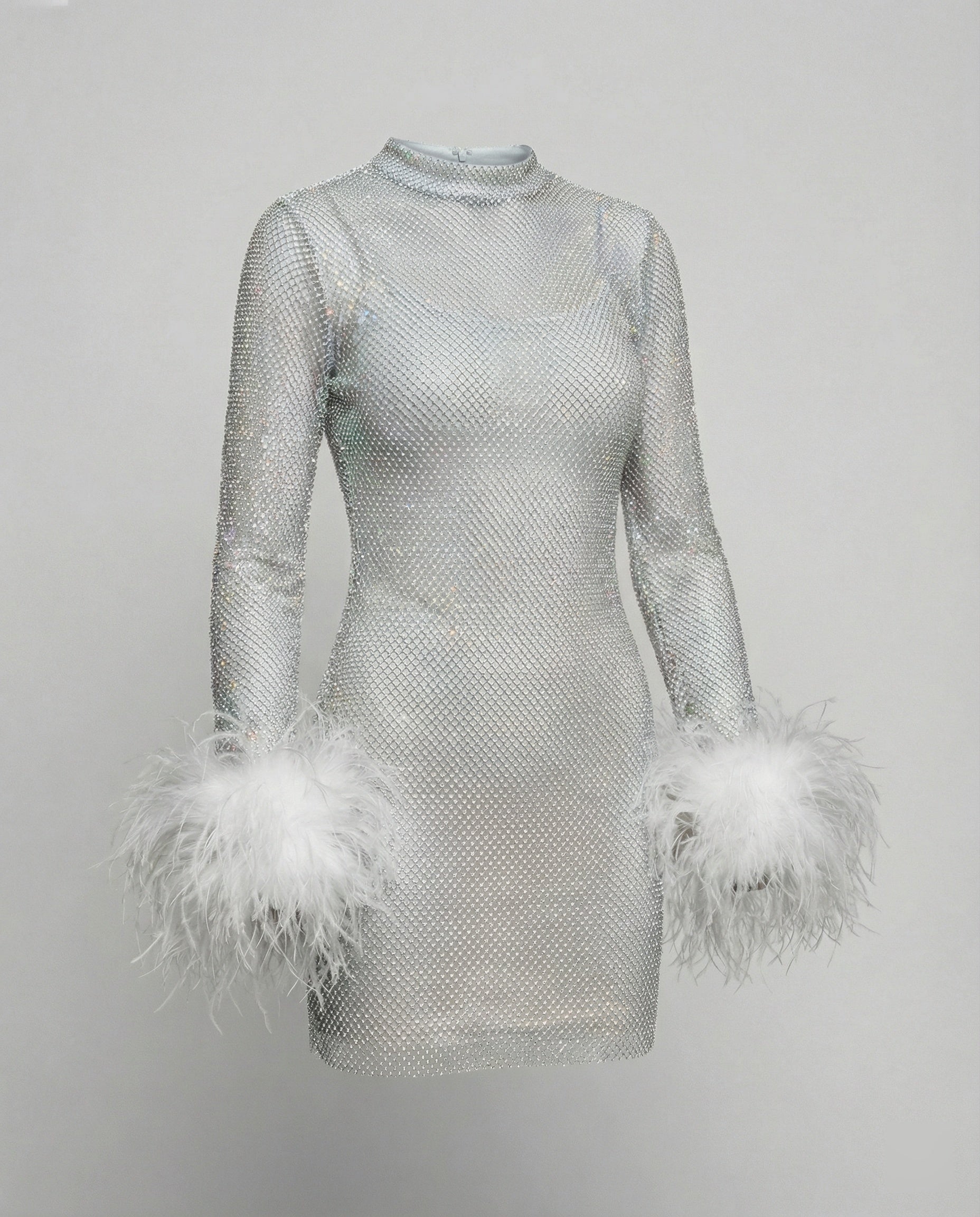 Federverziertes durchsichtiges Partykleid