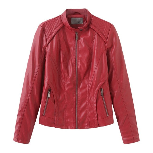 R&B | High Royalty Jacke